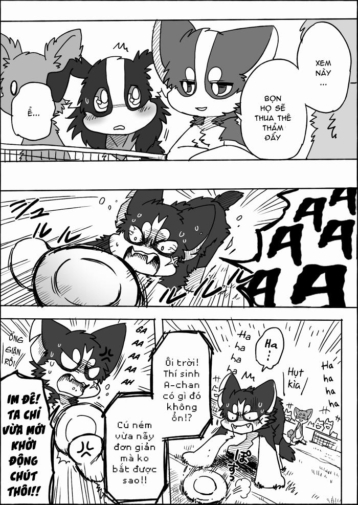 Helper Shibeta 15 trang 36