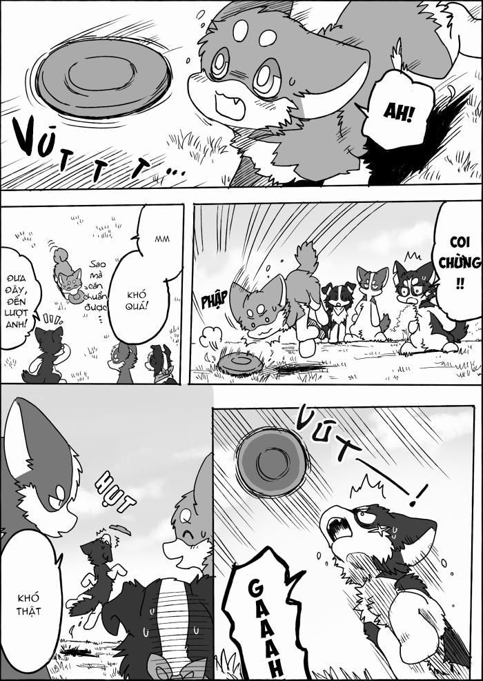 Helper Shibeta 15 trang 4