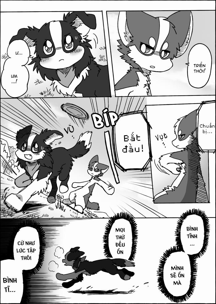 Helper Shibeta 15 trang 40