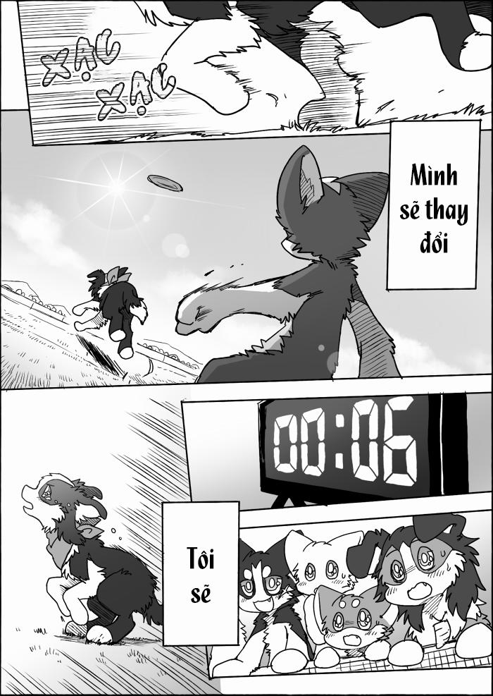 Helper Shibeta 15 trang 49