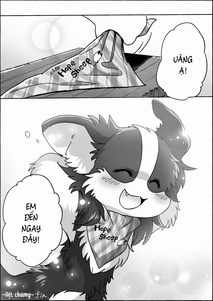 Helper Shibeta 15 trang 58