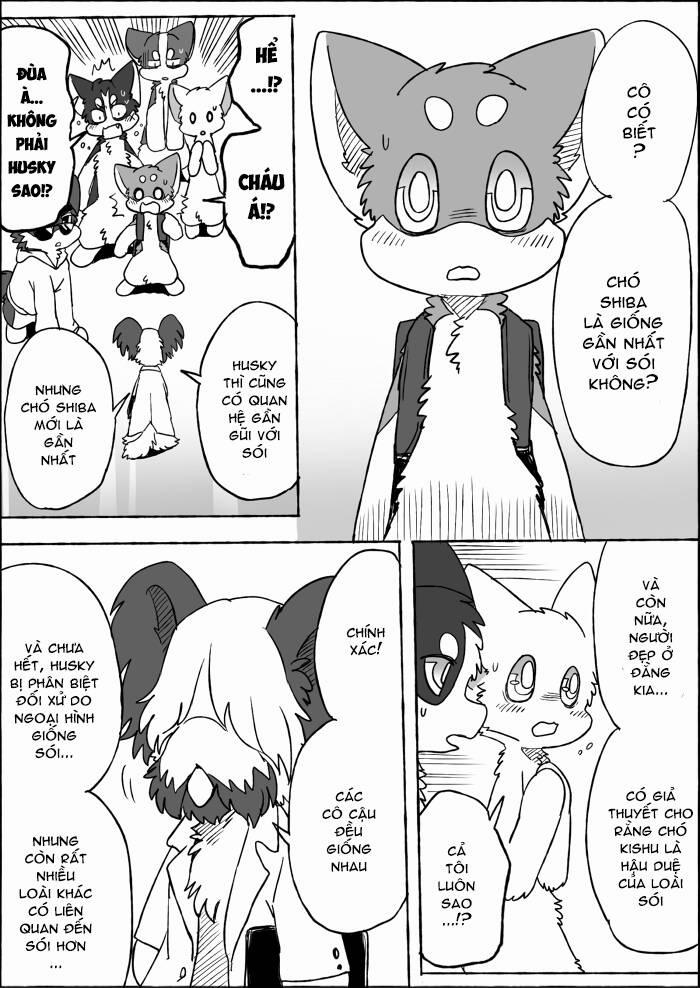 Helper Shibeta 19 trang 28