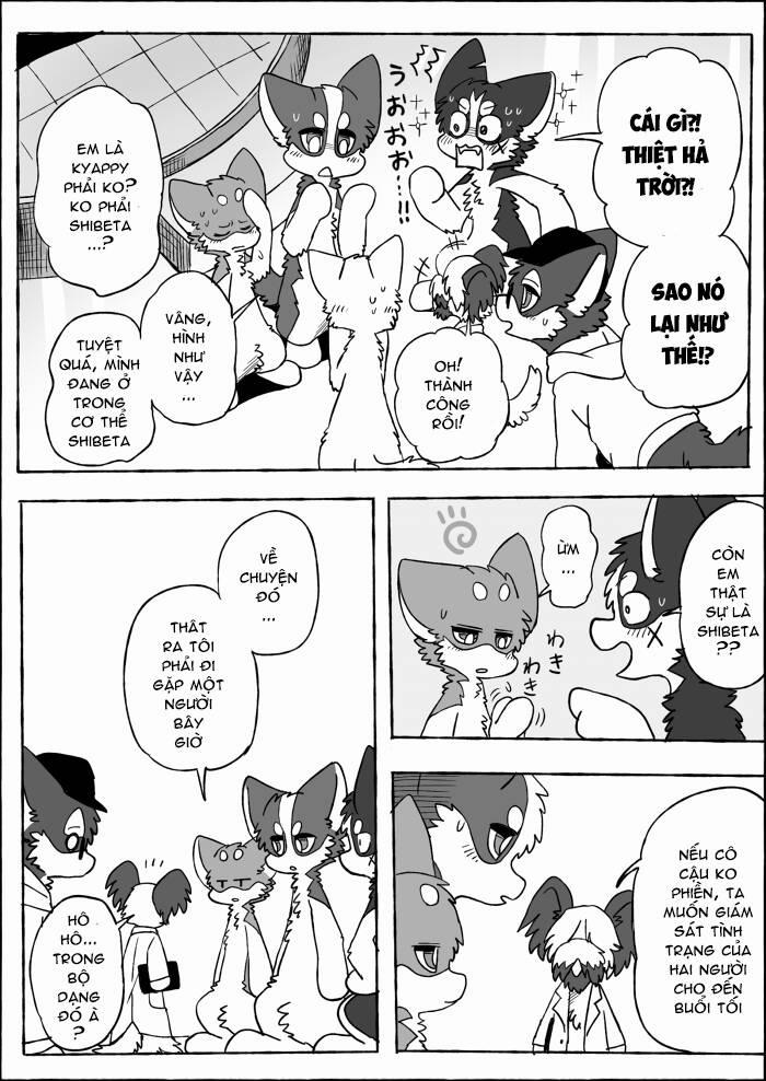 Helper Shibeta 19 trang 33