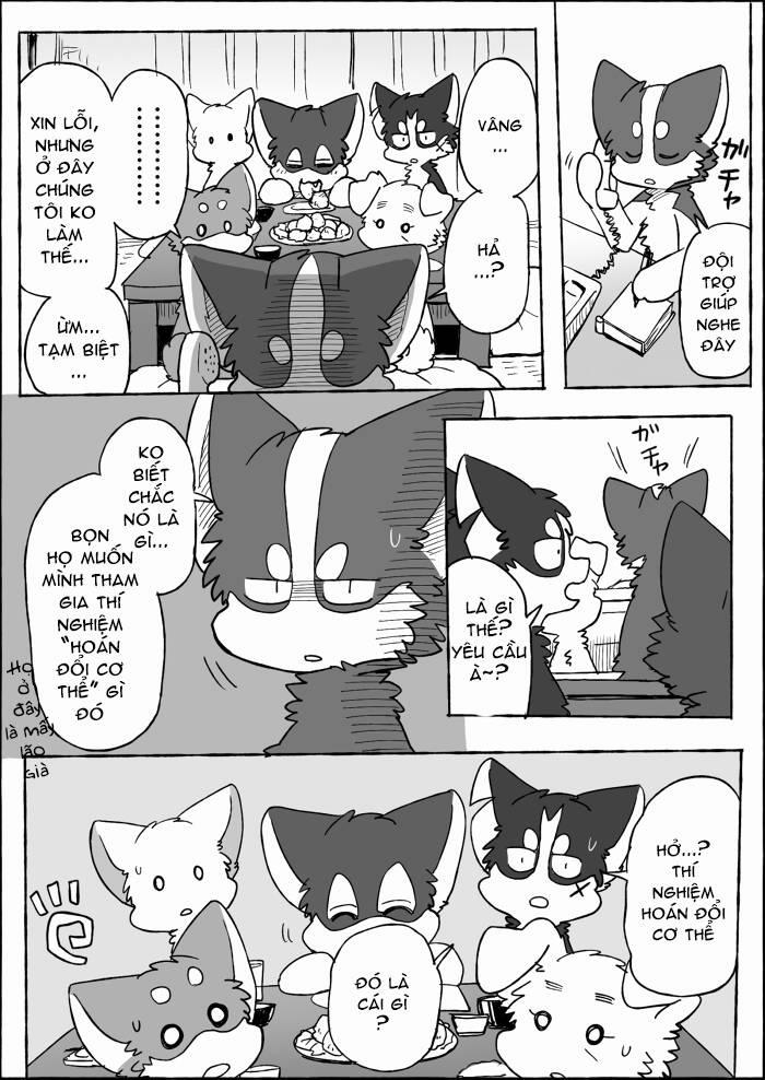 Helper Shibeta 19 trang 9