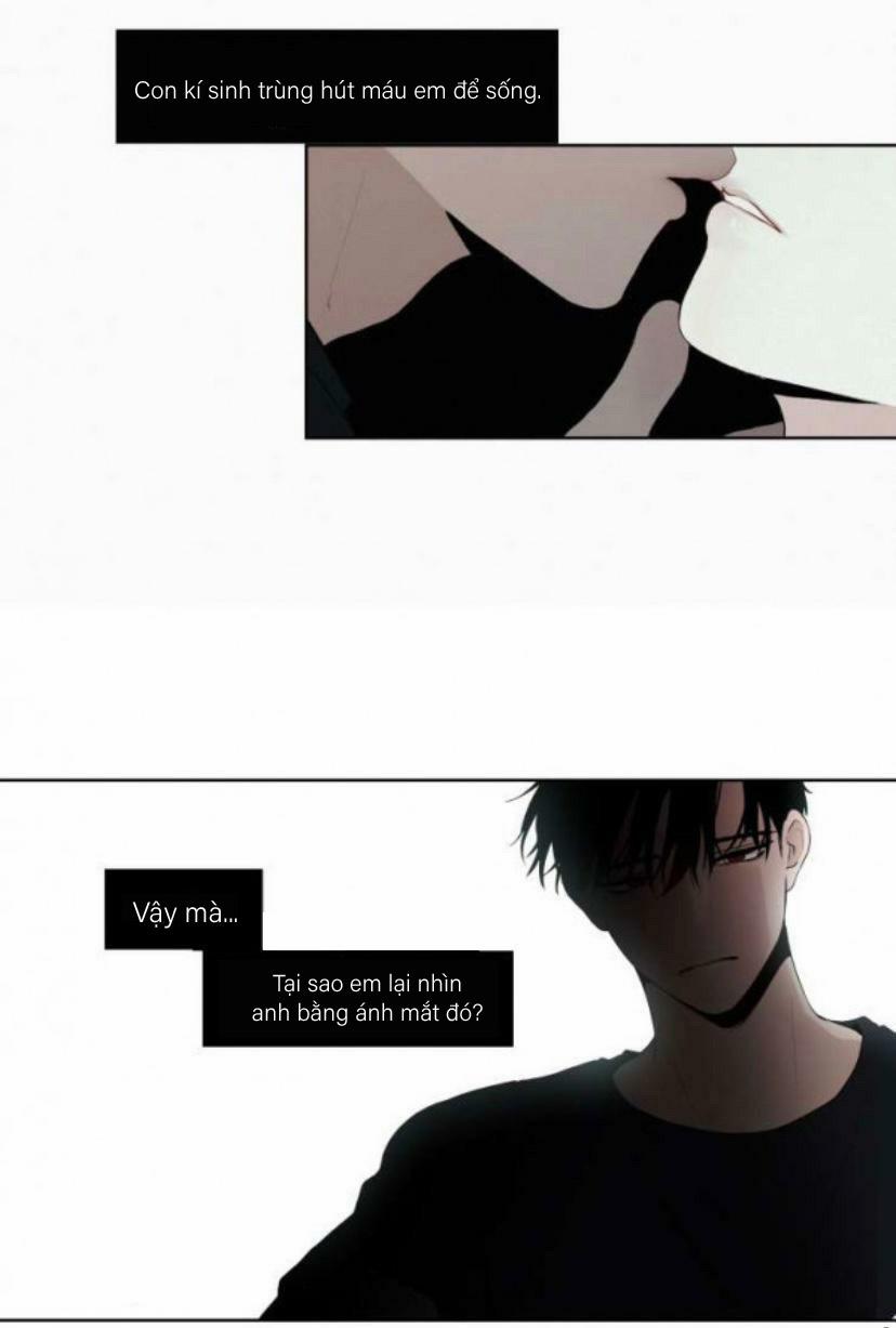 Hiến Máu 10 trang 25