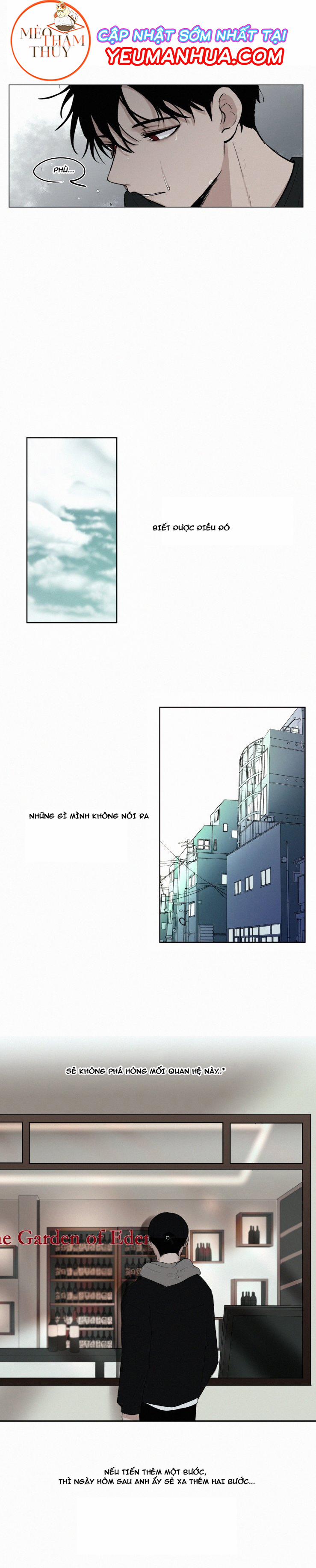 Hiến Máu 13 trang 12