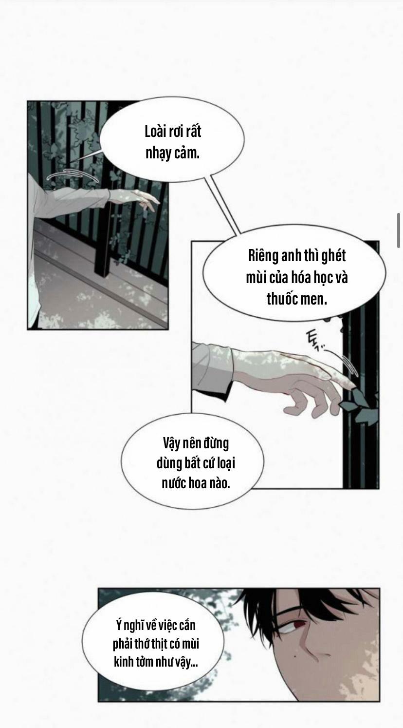 Hiến Máu 9 trang 15