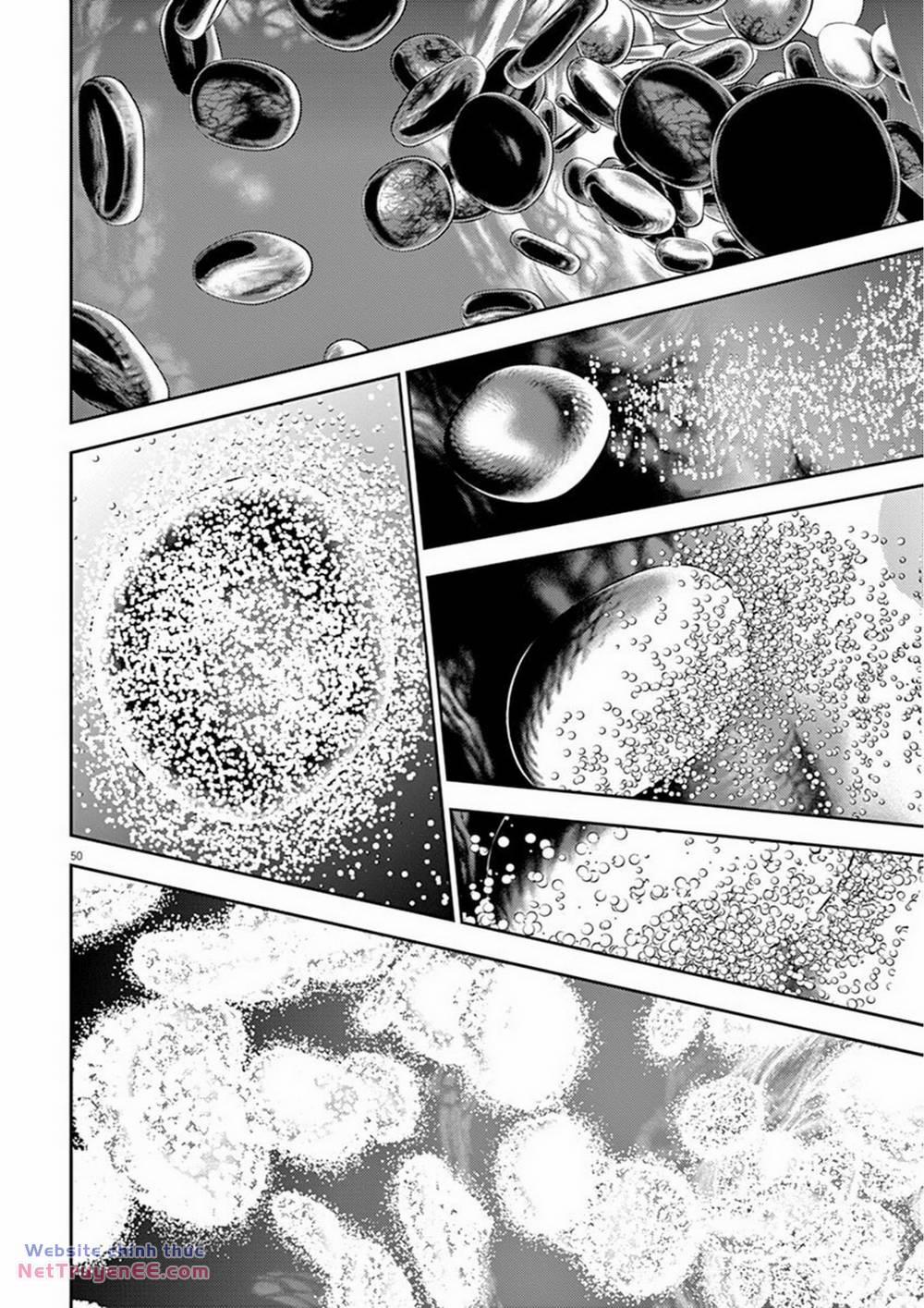 Hikari Man 2 trang 12