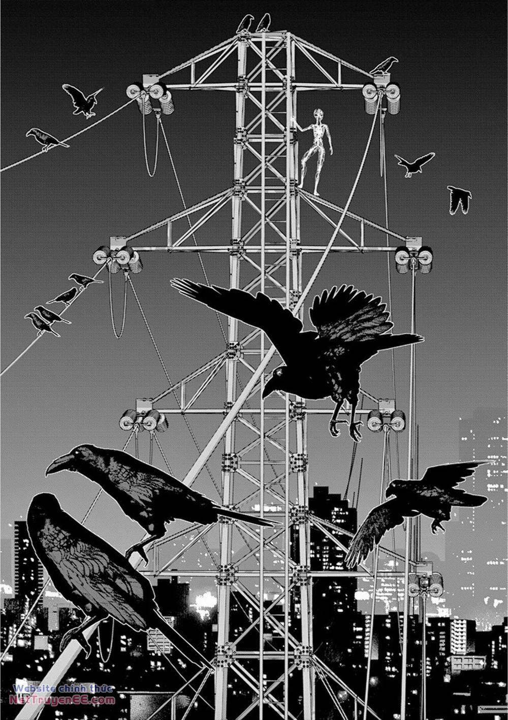 Hikari Man 3 trang 15