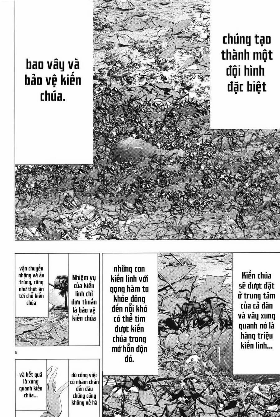 Himenospia 31 trang 7