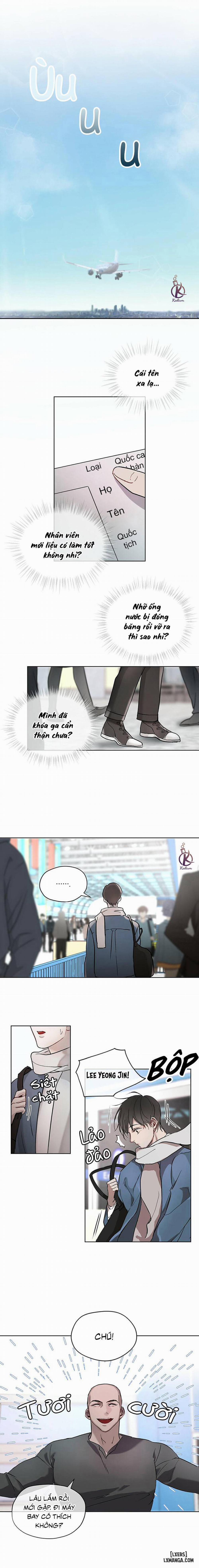 Hình thái khởi sinh  trang 11