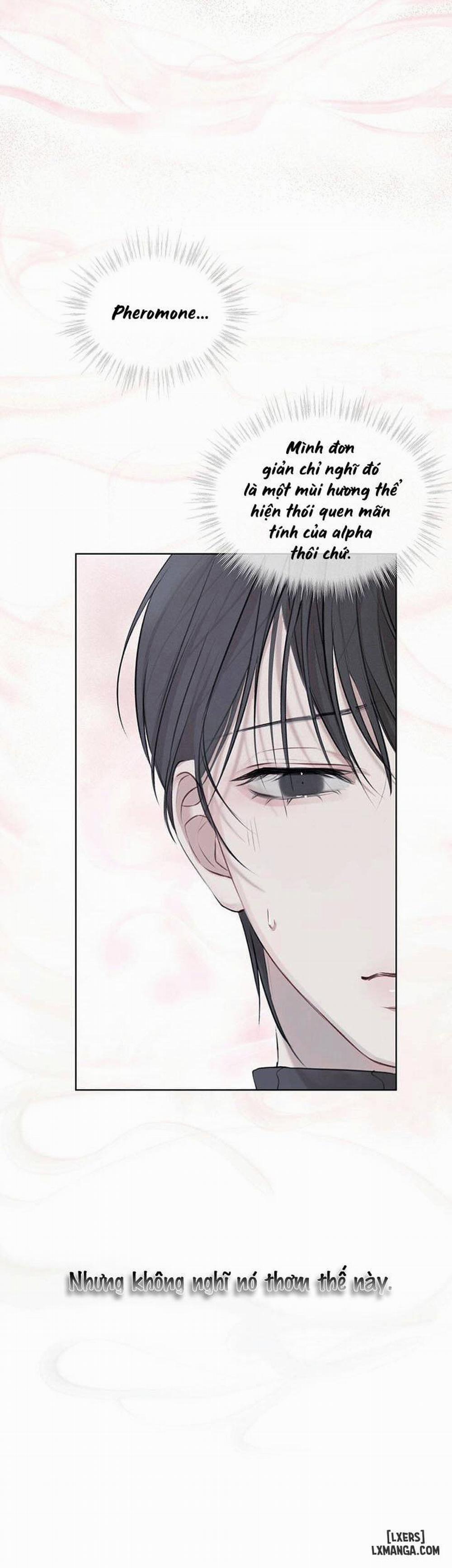 Hình thái khởi sinh 11 trang 15