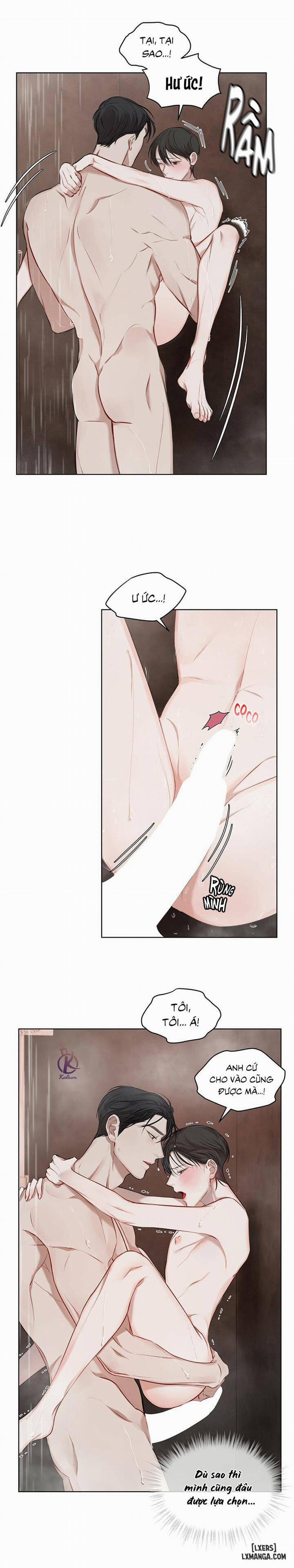 Hình thái khởi sinh 12 trang 13