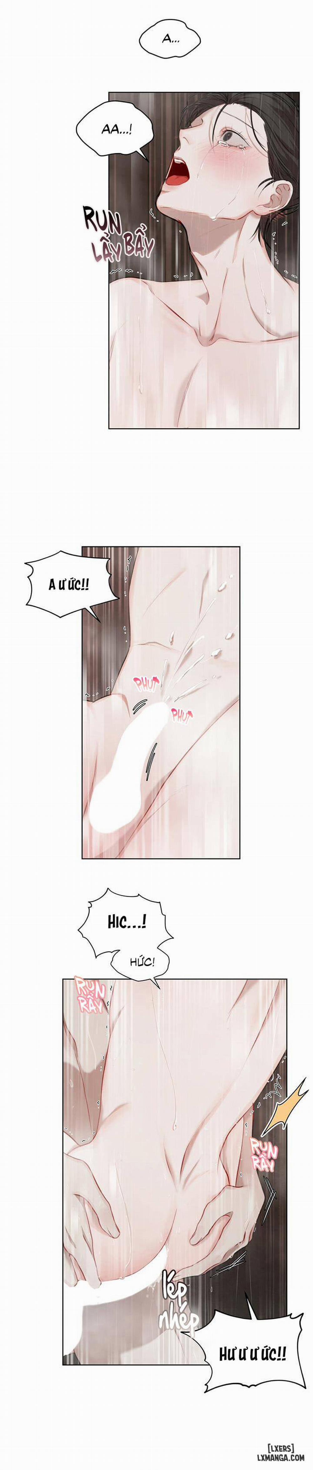 Hình thái khởi sinh 12 trang 17