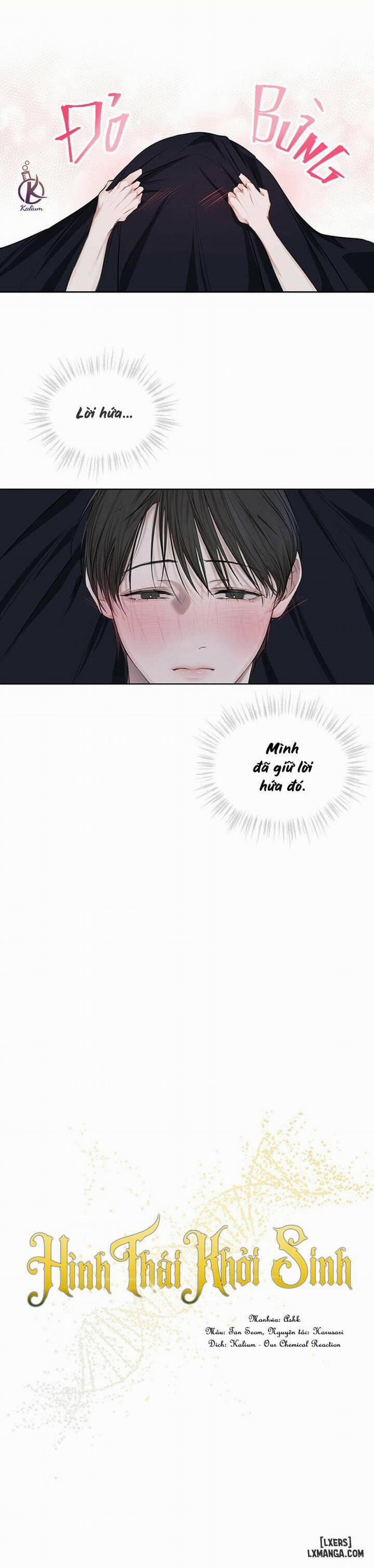 Hình thái khởi sinh 12 trang 2