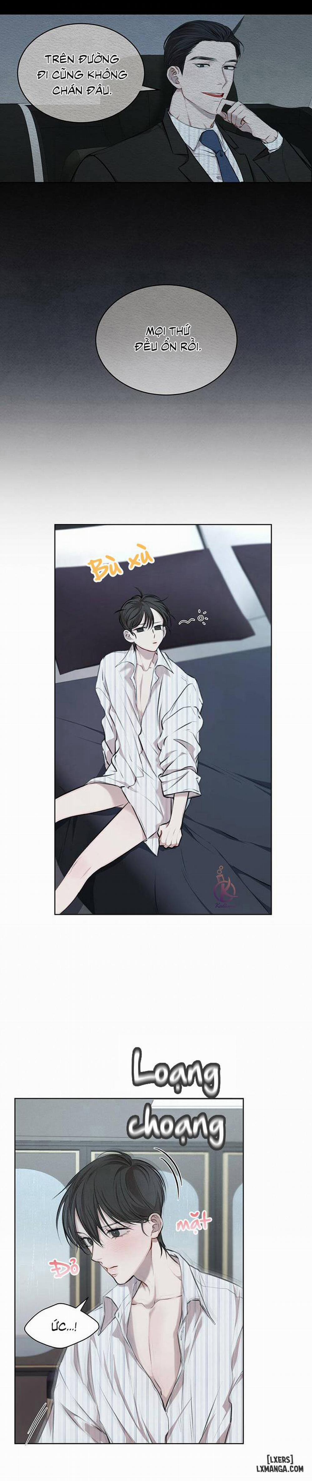 Hình thái khởi sinh 13 trang 12