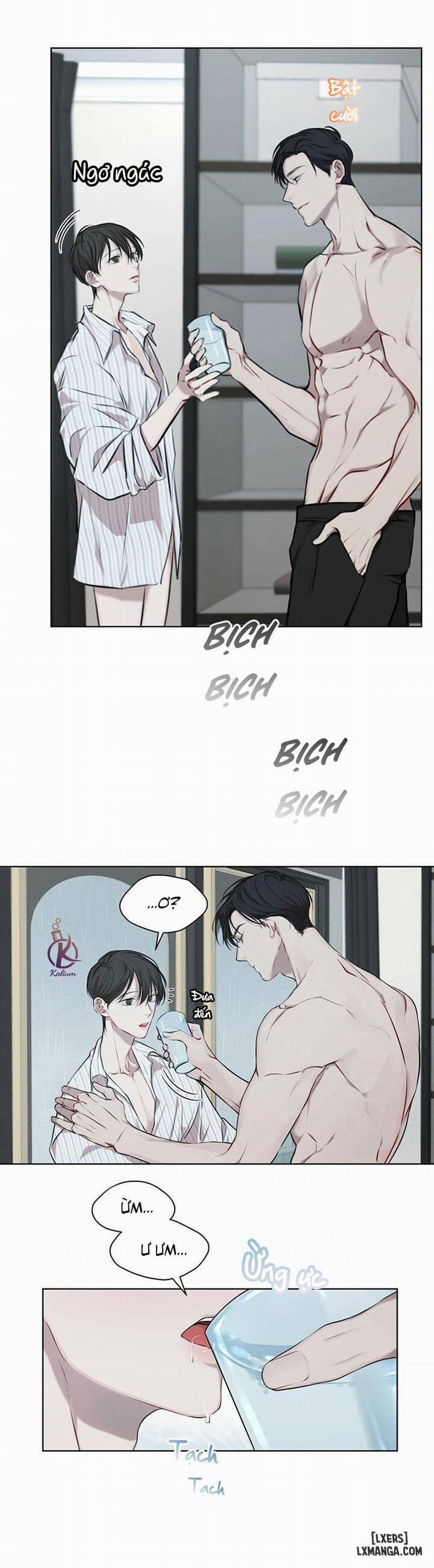 Hình thái khởi sinh 13 trang 16