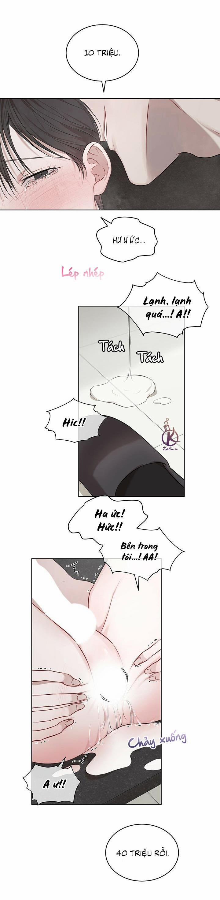 Hình thái khởi sinh 18.5 trang 3