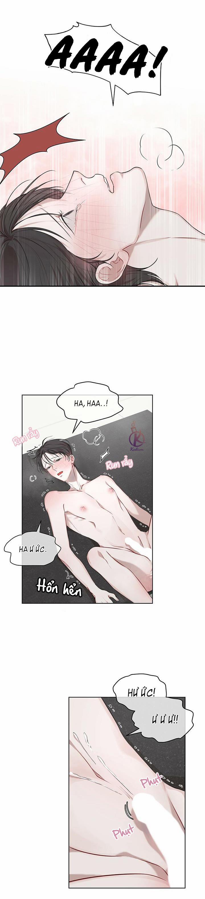 Hình thái khởi sinh 18.5 trang 4