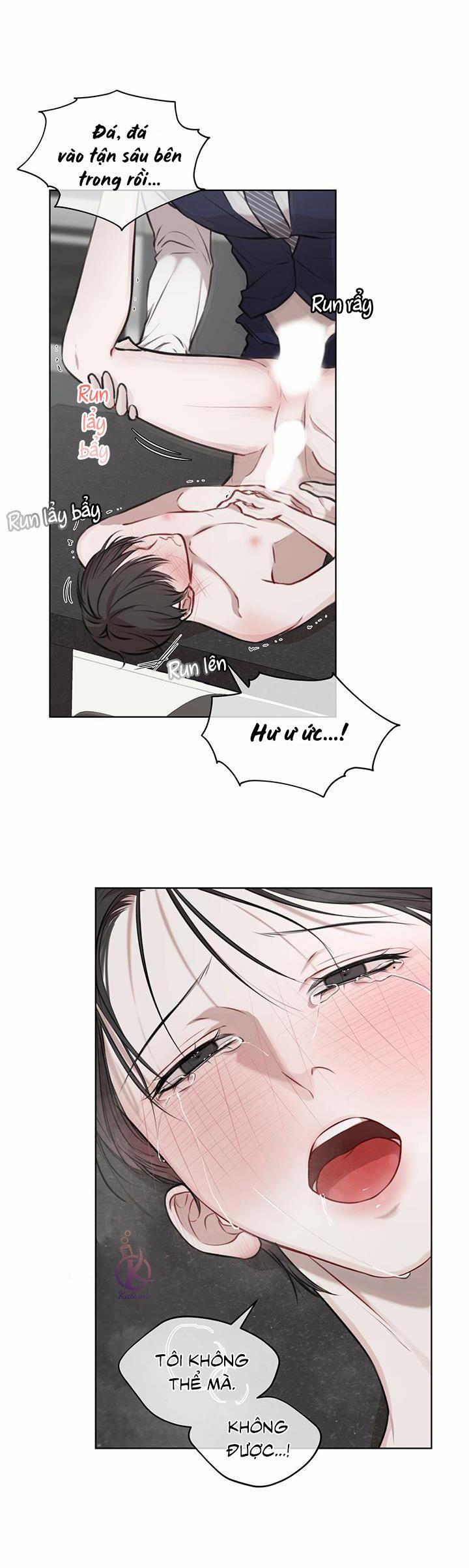 Hình thái khởi sinh 18.5 trang 8