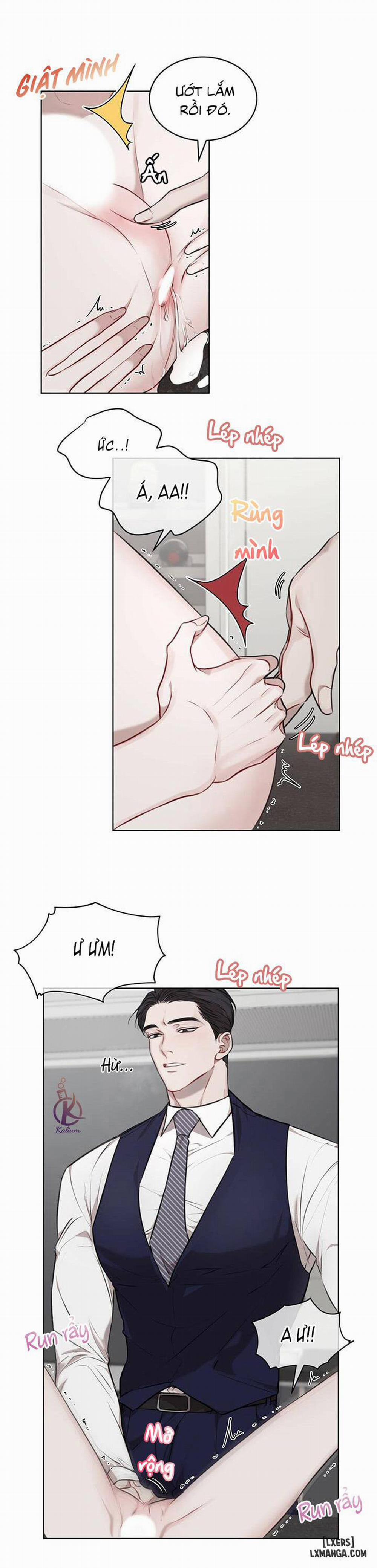 Hình thái khởi sinh 18 trang 10