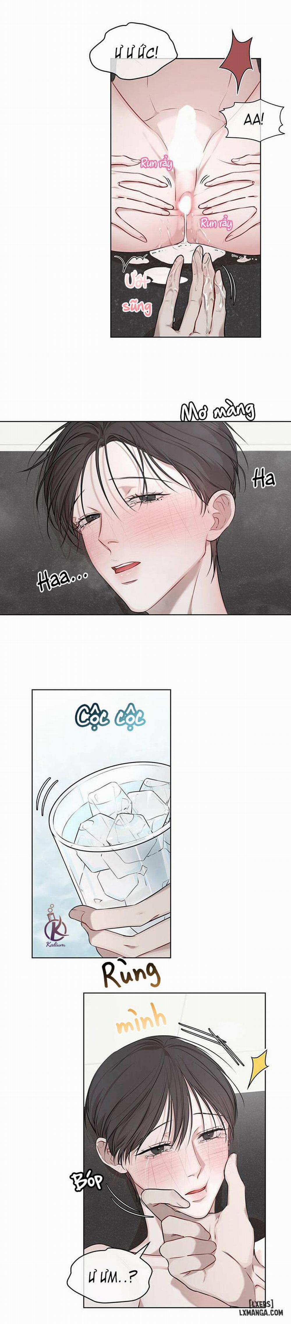 Hình thái khởi sinh 18 trang 11