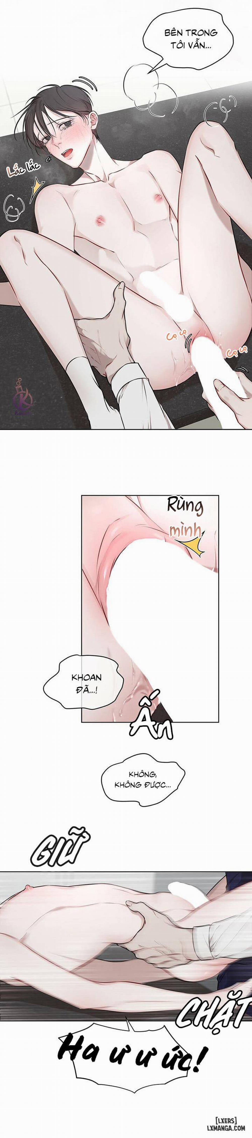 Hình thái khởi sinh 18 trang 18