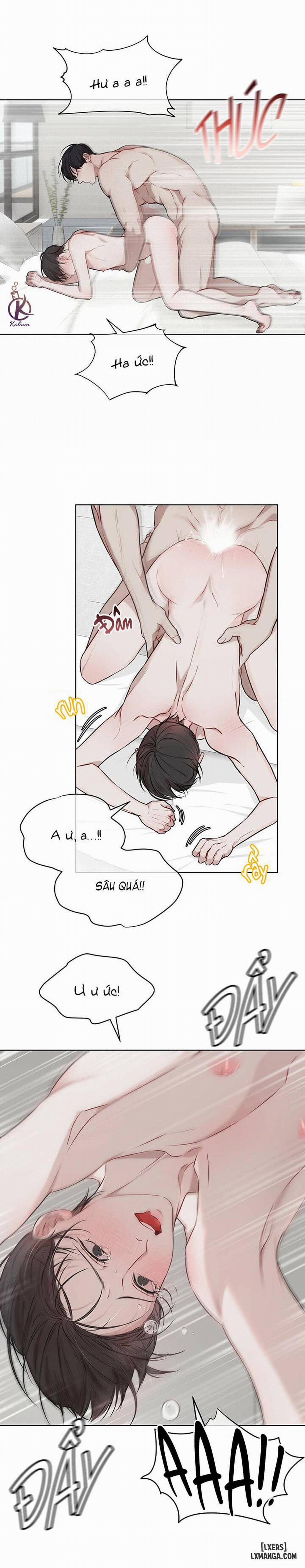 Hình thái khởi sinh 19 trang 4