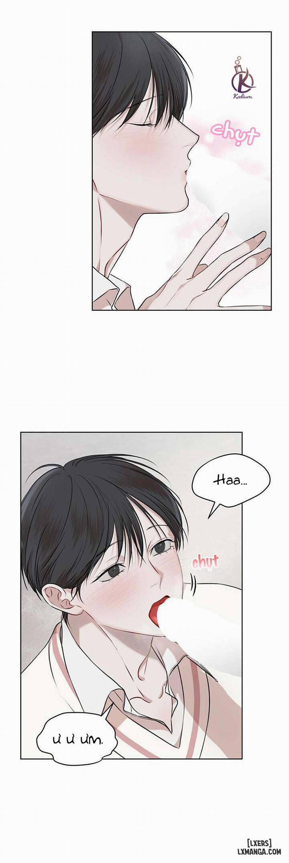 Hình thái khởi sinh 21 trang 13