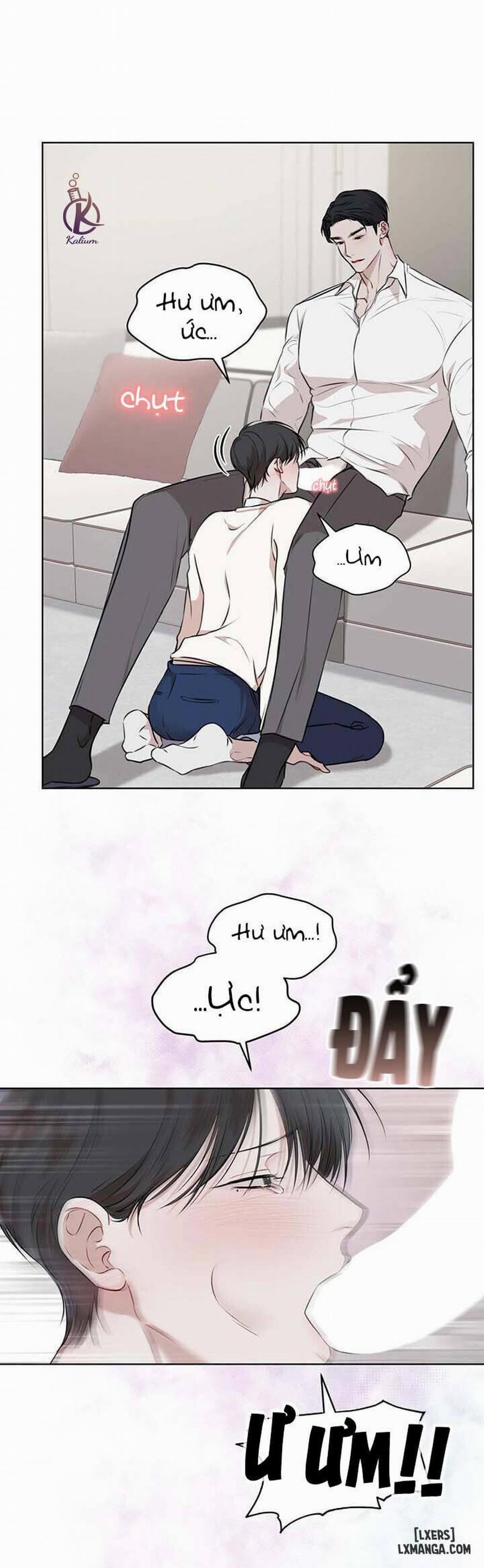 Hình thái khởi sinh 21 trang 14