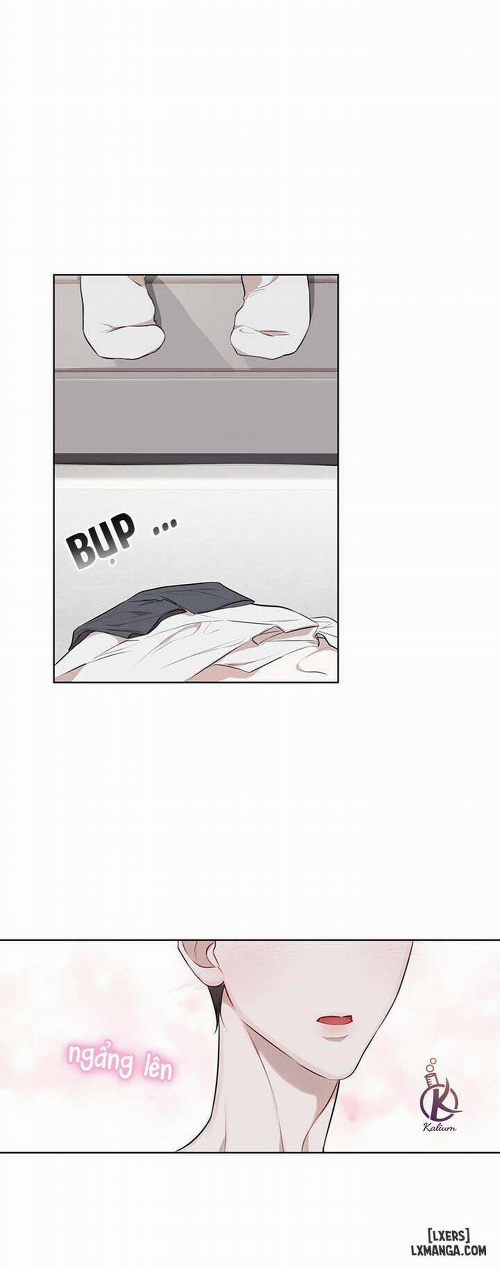 Hình thái khởi sinh 21 trang 22