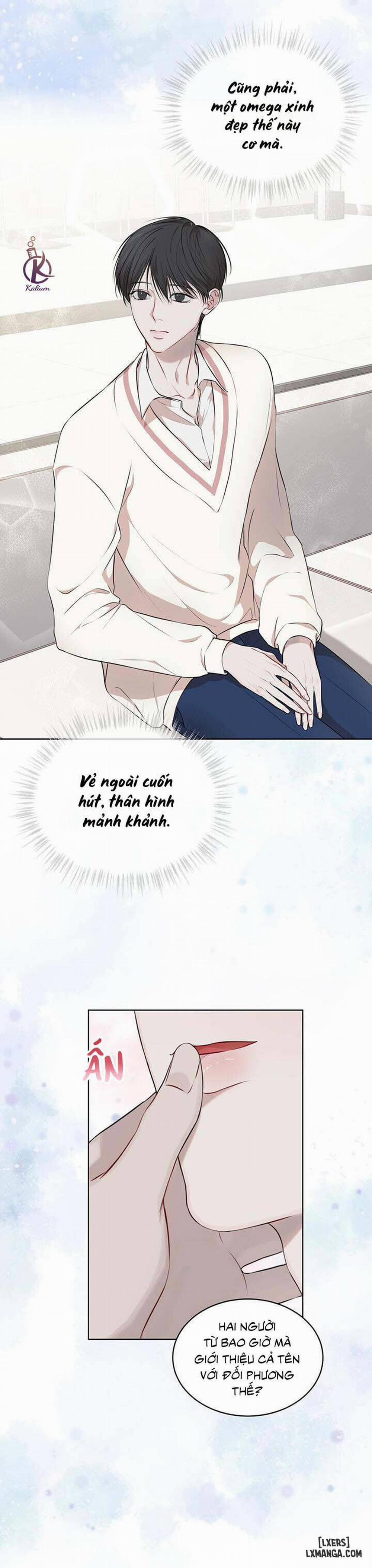 Hình thái khởi sinh 21 trang 8