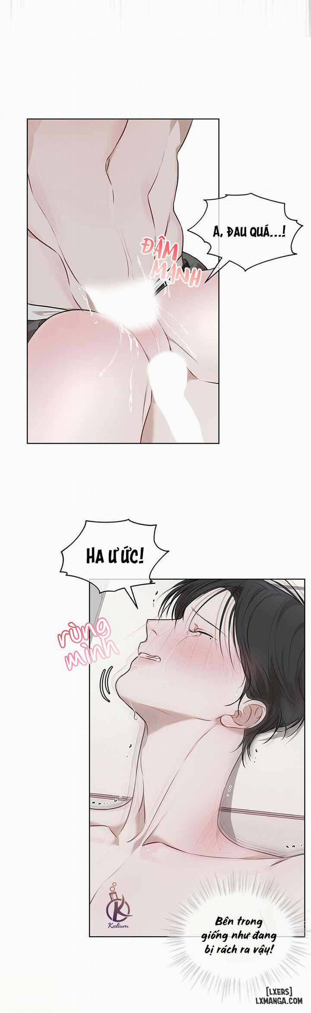 Hình thái khởi sinh 22 trang 8