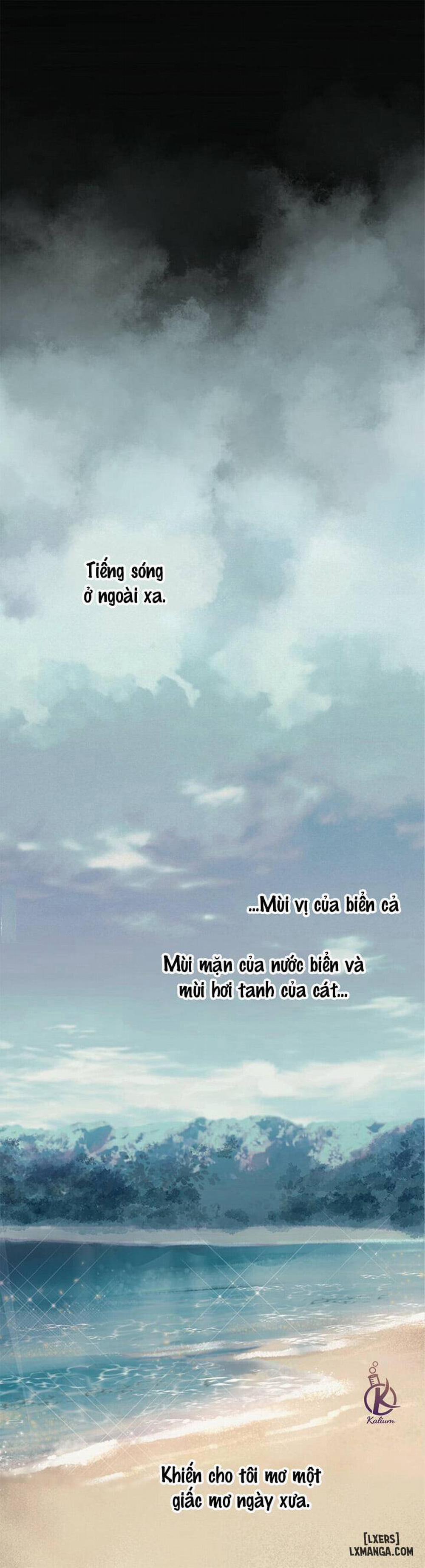 Hình thái khởi sinh 23 trang 4