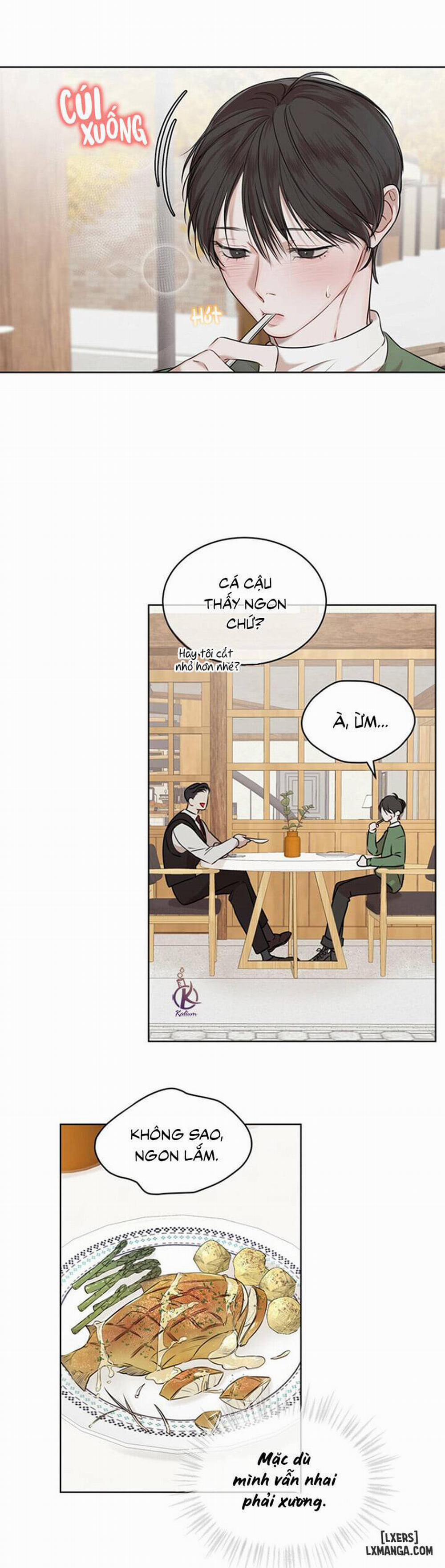 Hình thái khởi sinh 24 trang 14