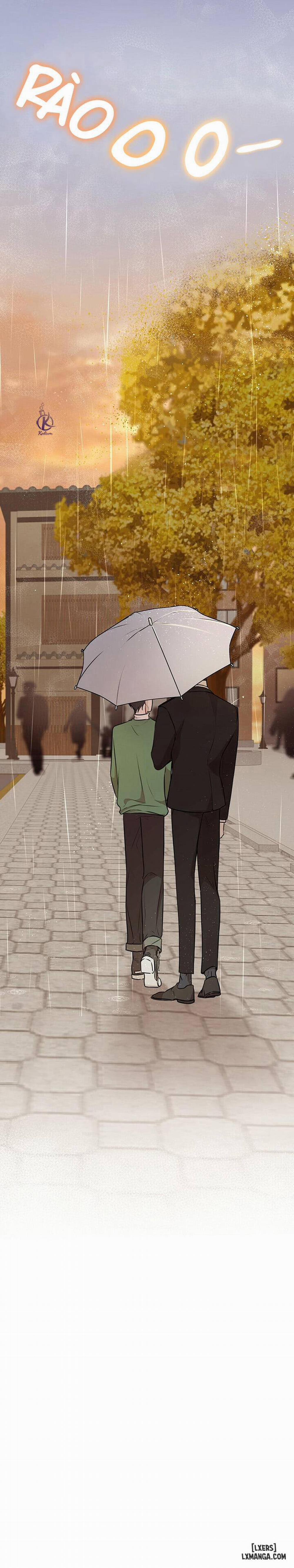 Hình thái khởi sinh 24 trang 19