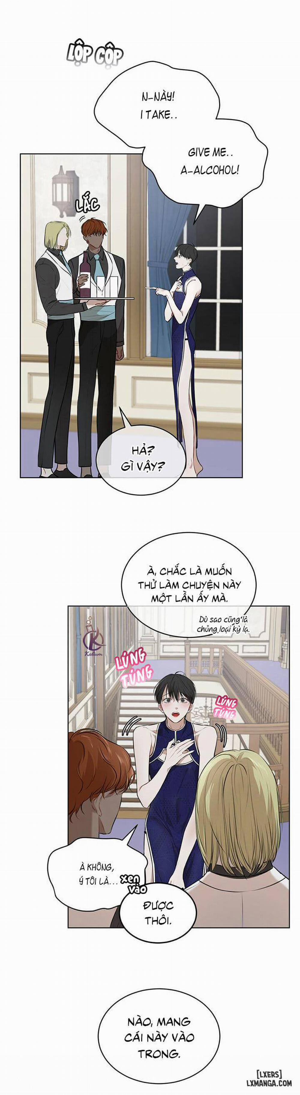 Hình thái khởi sinh 25 trang 15