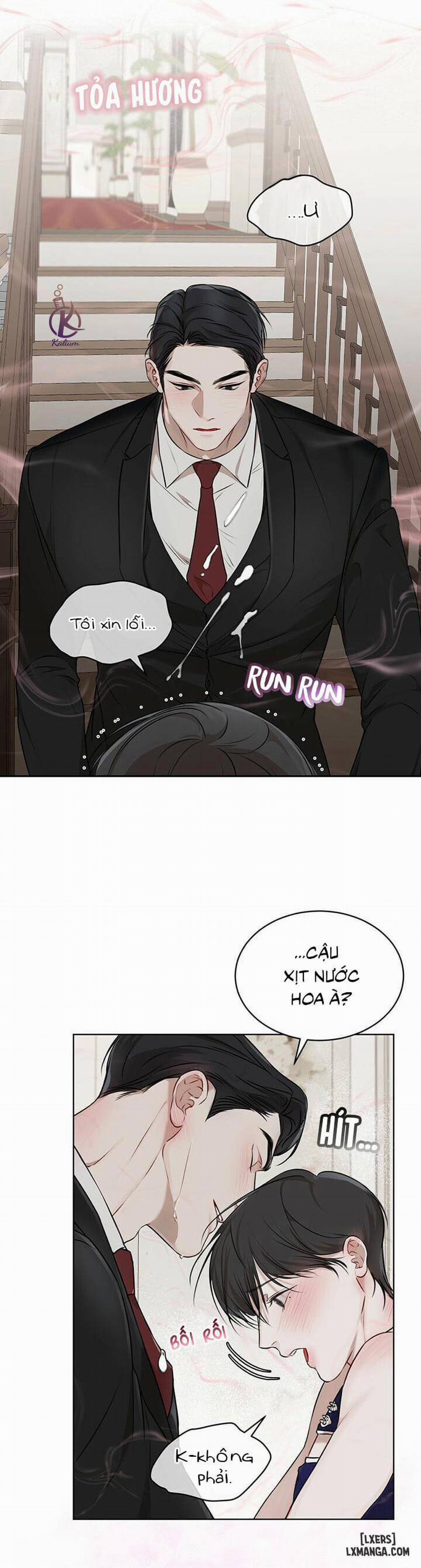 Hình thái khởi sinh 26 trang 12