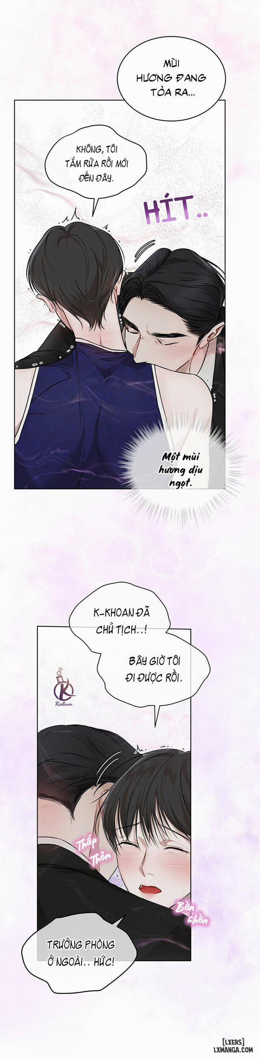 Hình thái khởi sinh 26 trang 13