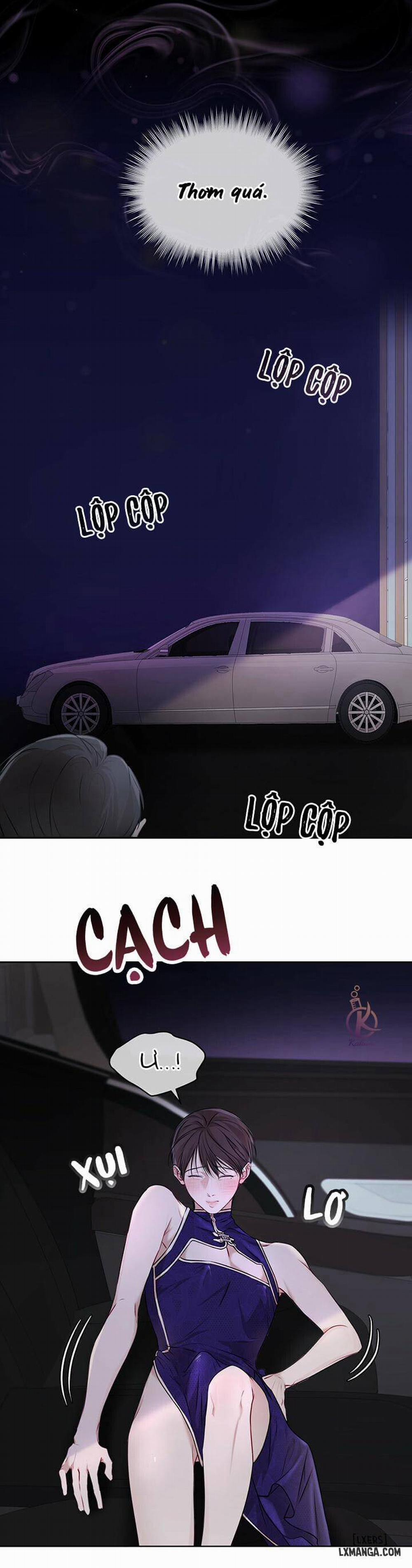 Hình thái khởi sinh 26 trang 16