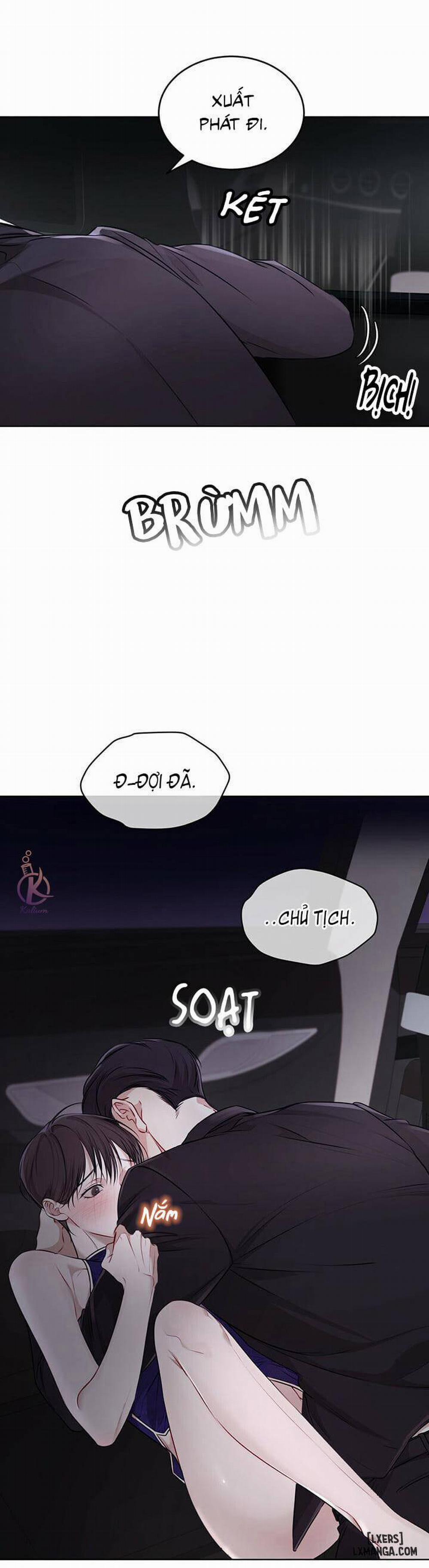 Hình thái khởi sinh 26 trang 17