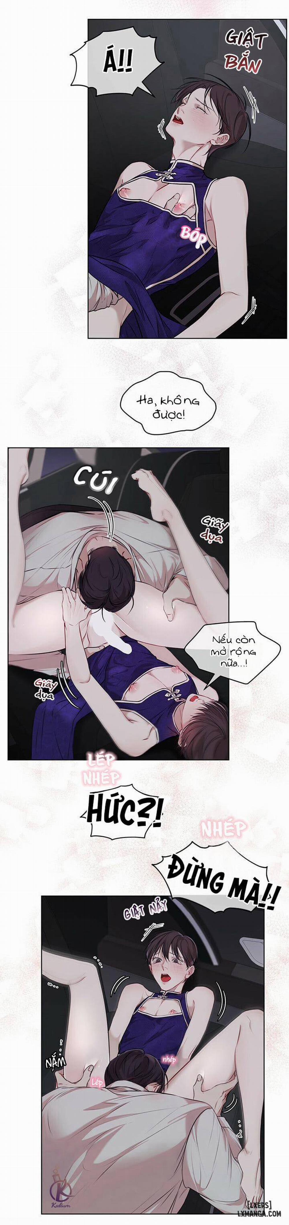 Hình thái khởi sinh 26 trang 19