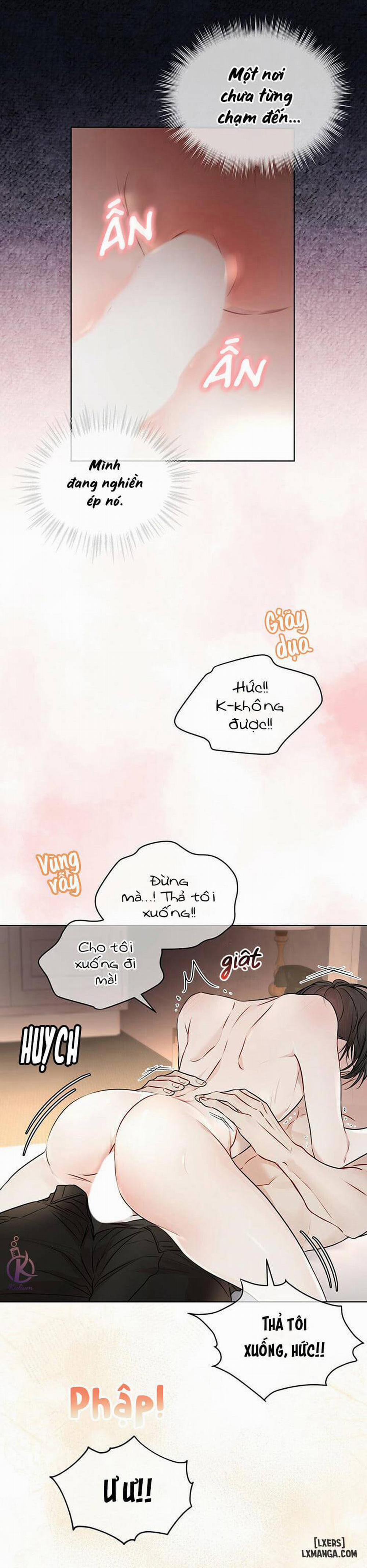 Hình thái khởi sinh 27 trang 11