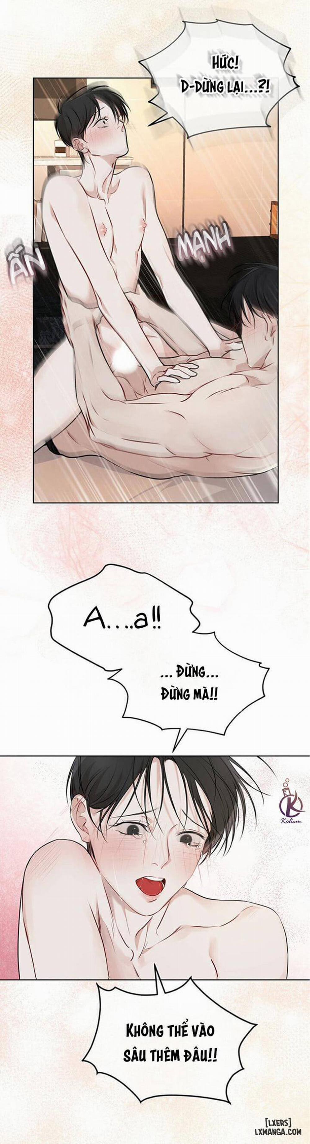 Hình thái khởi sinh 27 trang 12