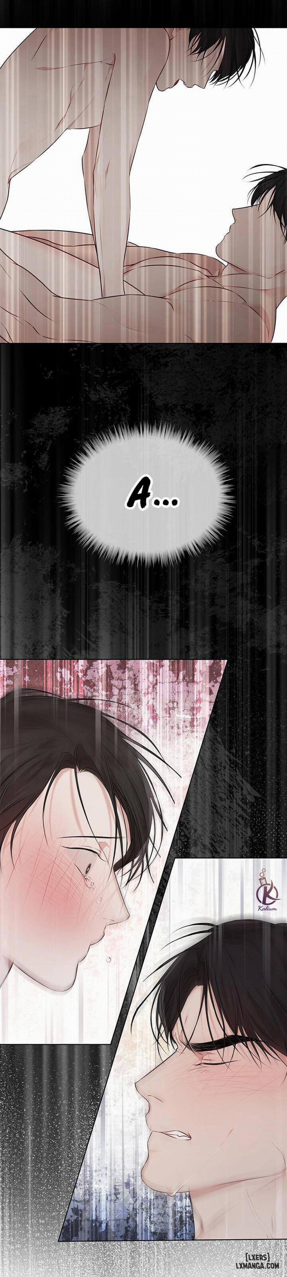 Hình thái khởi sinh 27 trang 15