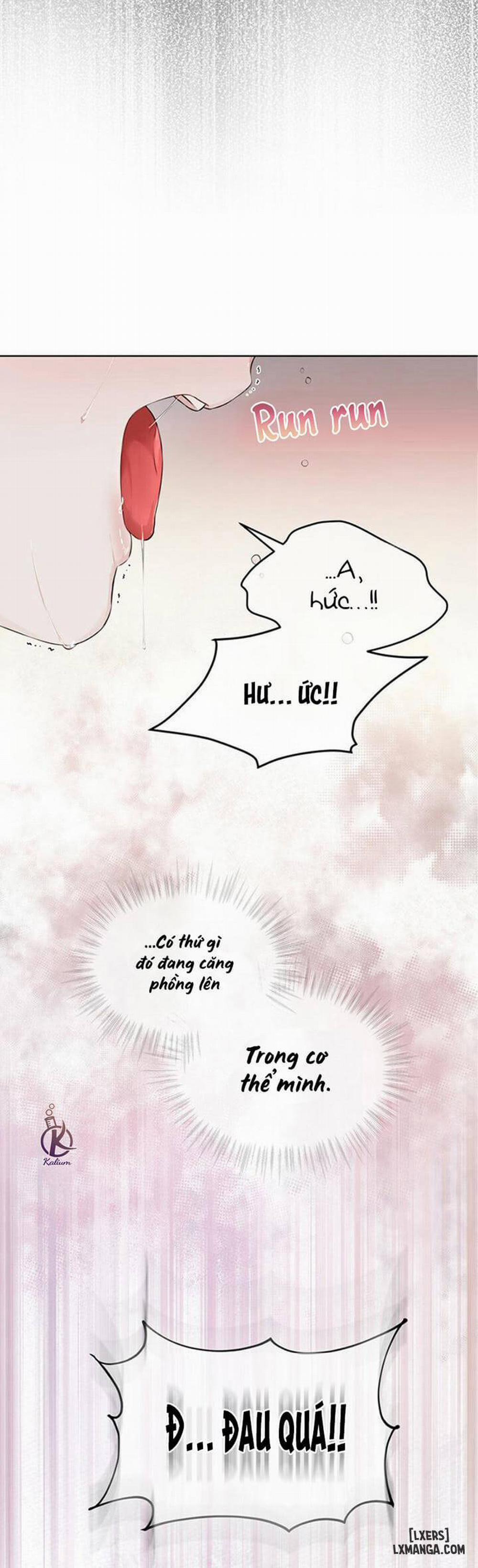 Hình thái khởi sinh 27 trang 16