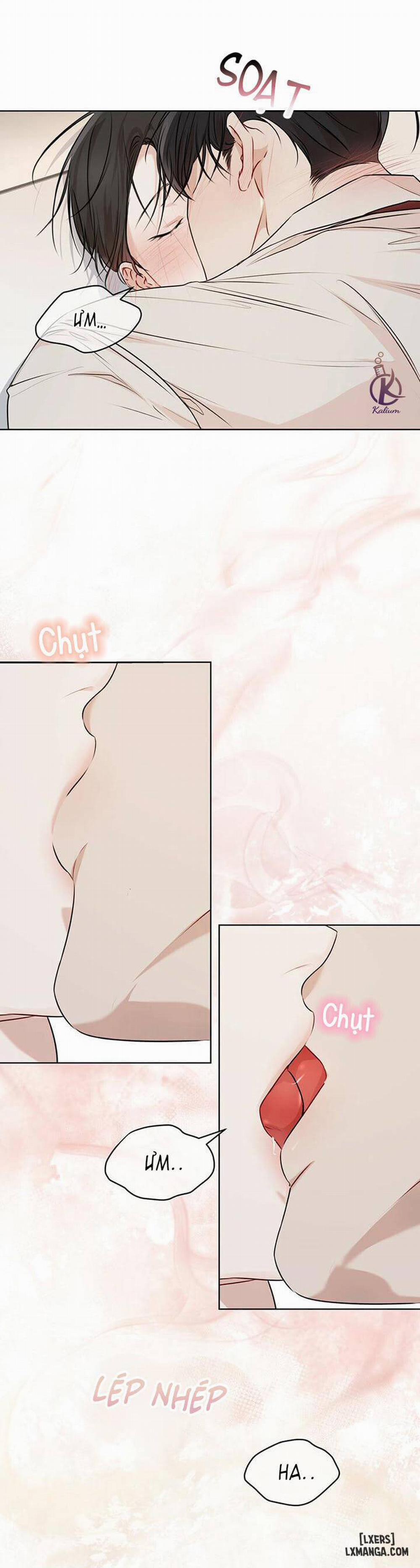 Hình thái khởi sinh 27 trang 3