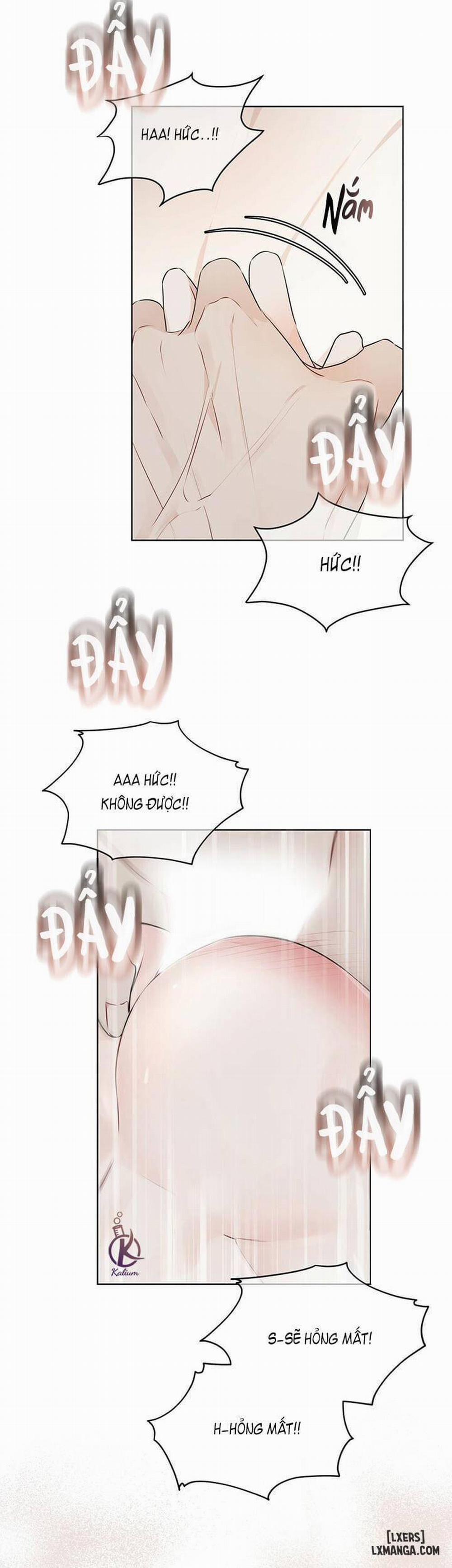 Hình thái khởi sinh 27 trang 34