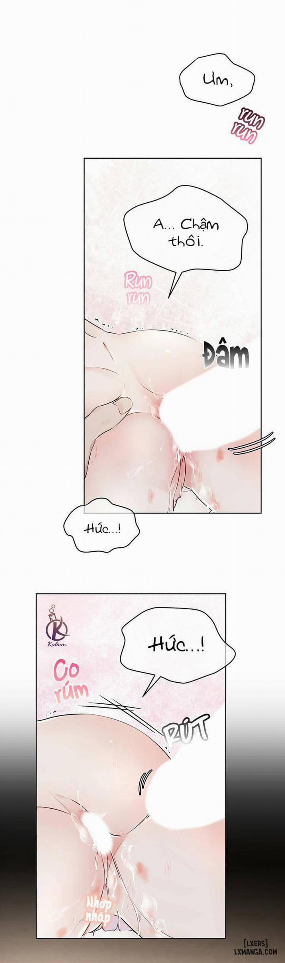 Hình thái khởi sinh 28 trang 2