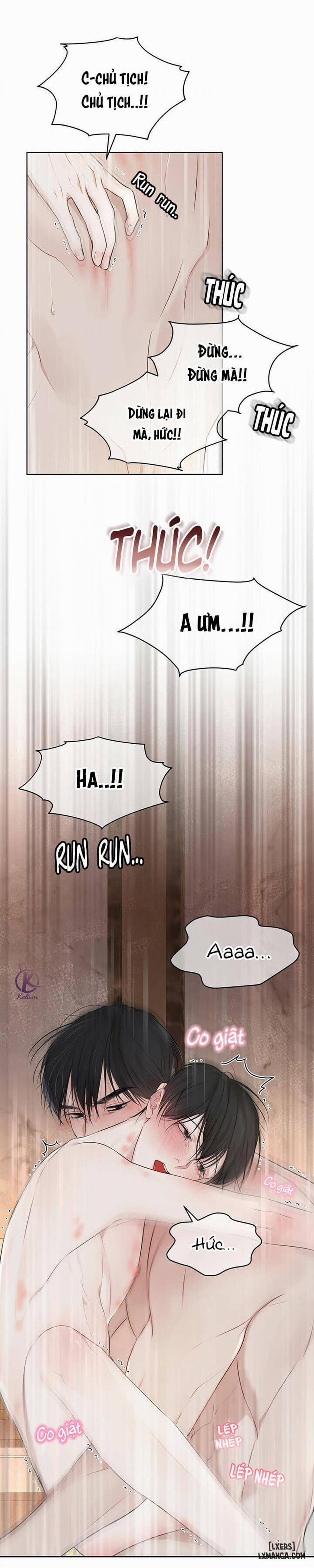 Hình thái khởi sinh 28 trang 23